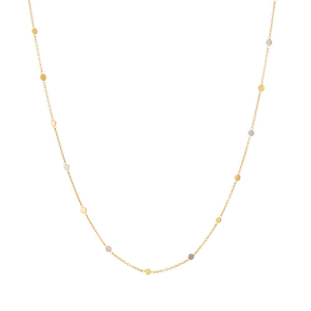 Sia Taylor SN4 YWP Gold Platinum Dust Necklace WB