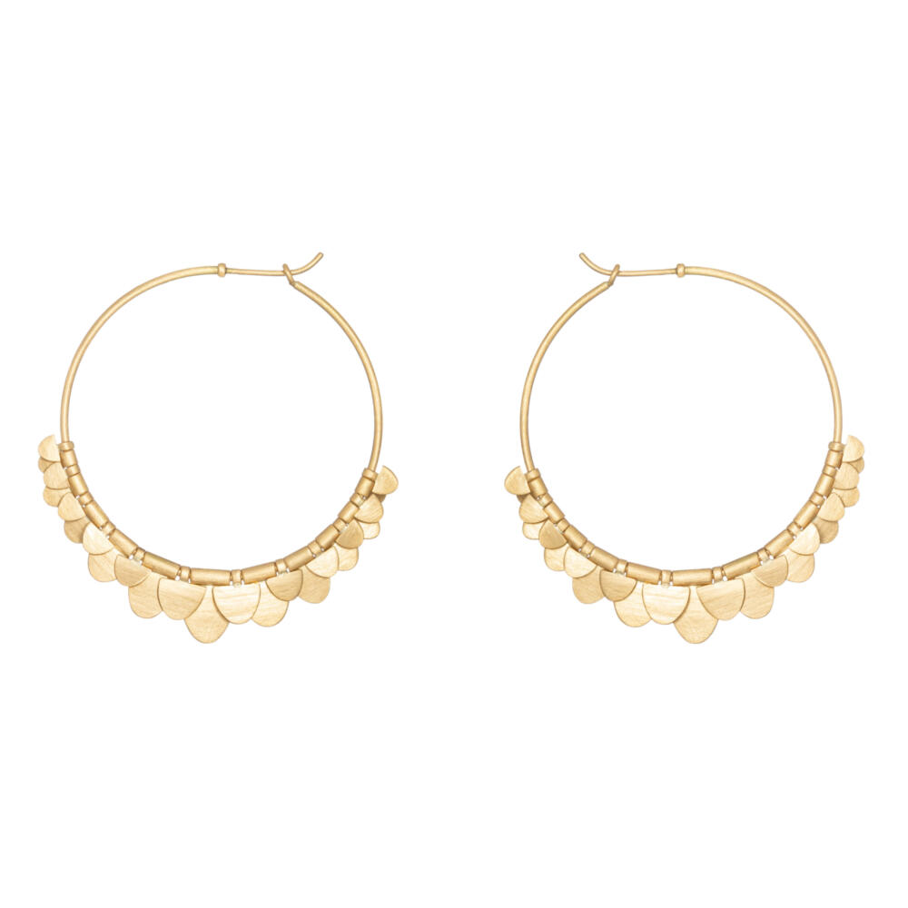 Sia Taylor FE8 Y Yellow Gold Earrings WB