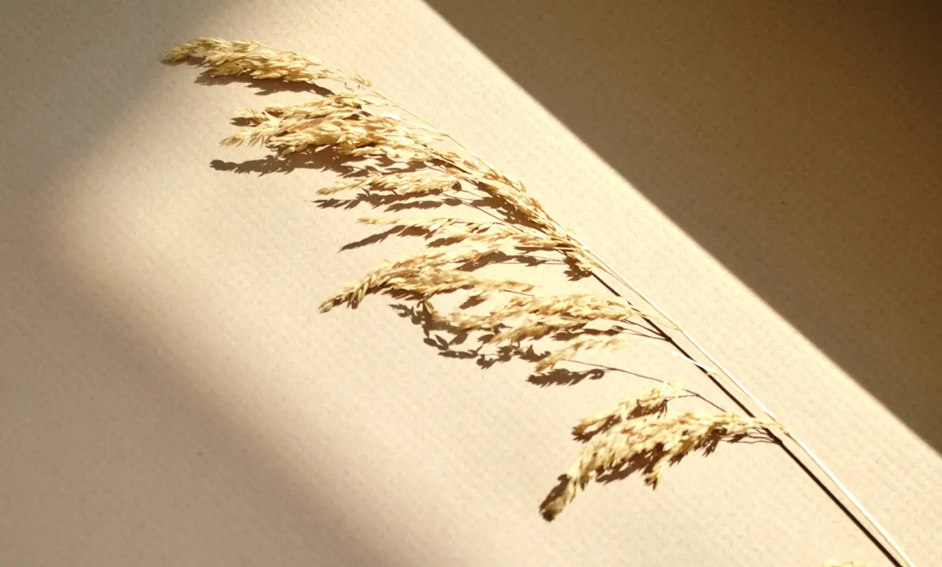 Silver Earrings Landscape Sia 21