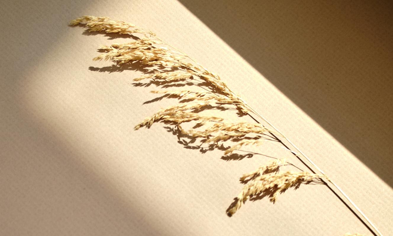Silver Earrings Landscape Sia 21