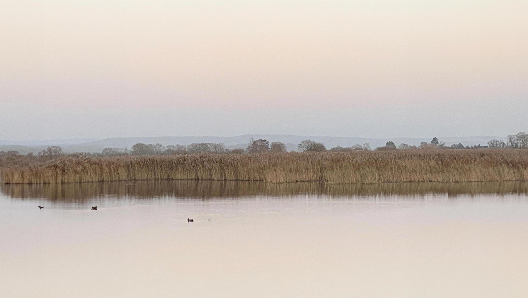 Sia Taylor Somerset Landscape